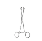 TISCO Lifecare Czerny Braun Tissue Forceps 20 CM / 8 Inch 3x3 Prong Stainless Steel Surgical Instrument