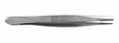 TISCO Lifecare Wills Hospital Utility Forceps – Precision Surgical Tissue Handling Instrument