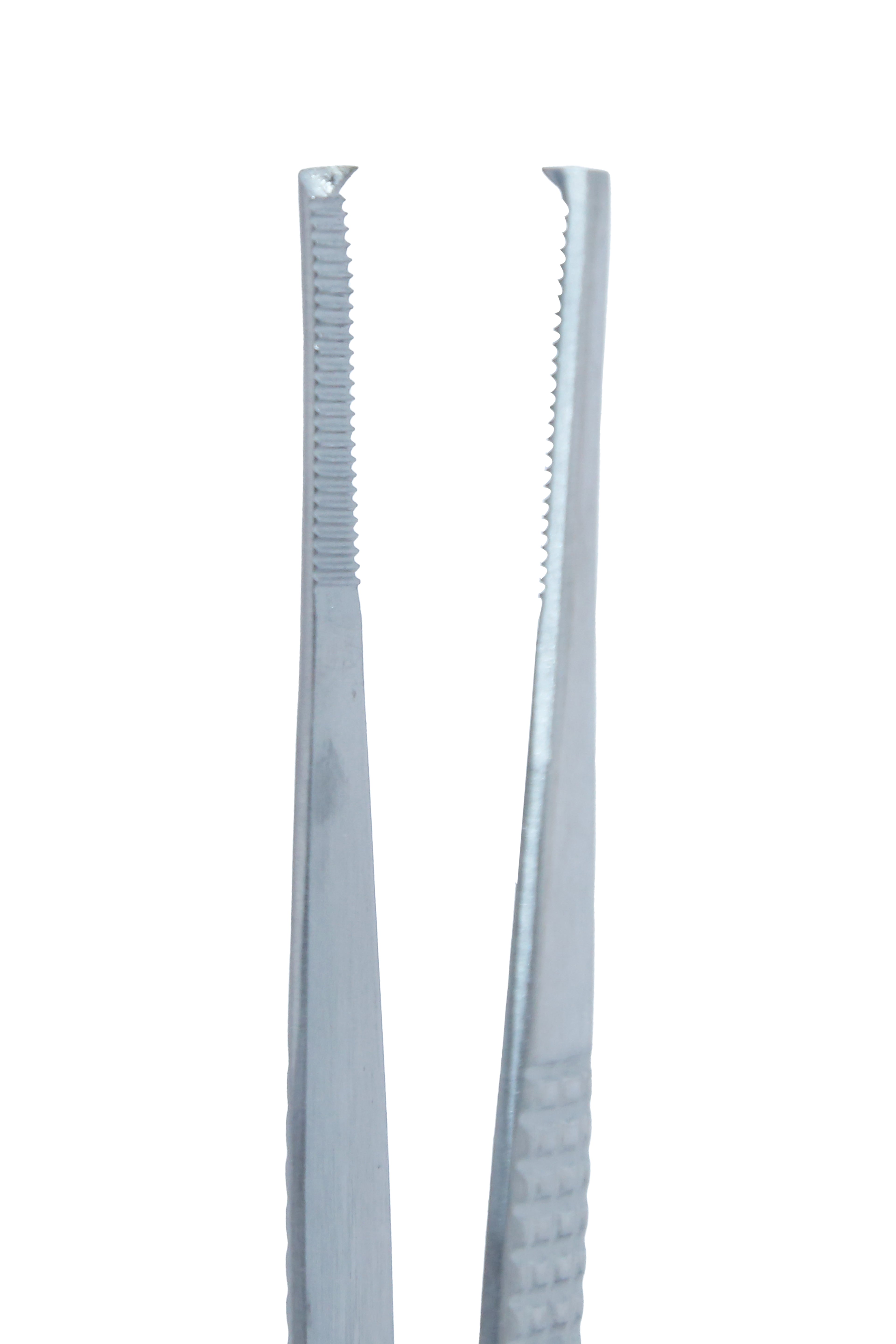 TISCO Lifecare Ramsay Heavy Tooth Forceps