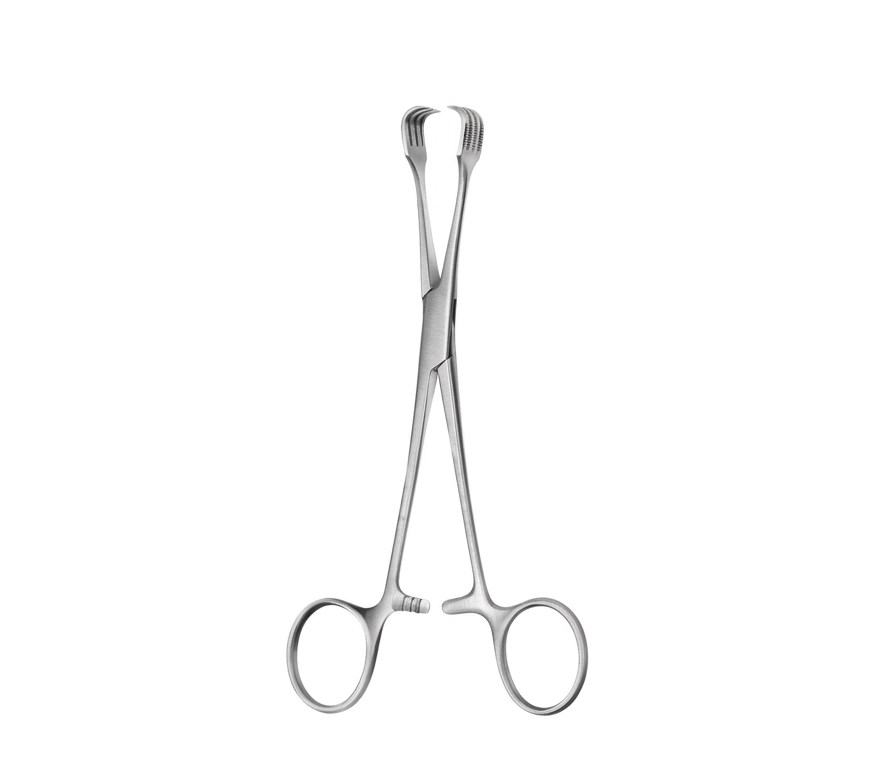 TISCO Lifecare Czerny Braun Tissue Forceps 15 CM / 6 Inch 4x4 Prong Stainless Steel Surgical Instrument