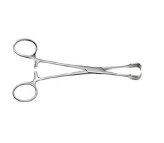 TISCO Lifecare Czerny Braun Tissue Forceps 15 CM / 6 Inch 4x4 Prong Stainless Steel Surgical Instrument