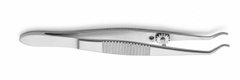 TISCO Lifecare Dastoor Superior Rectus Forceps – Precision Ophthalmic Instrument for Secure Muscle Handling