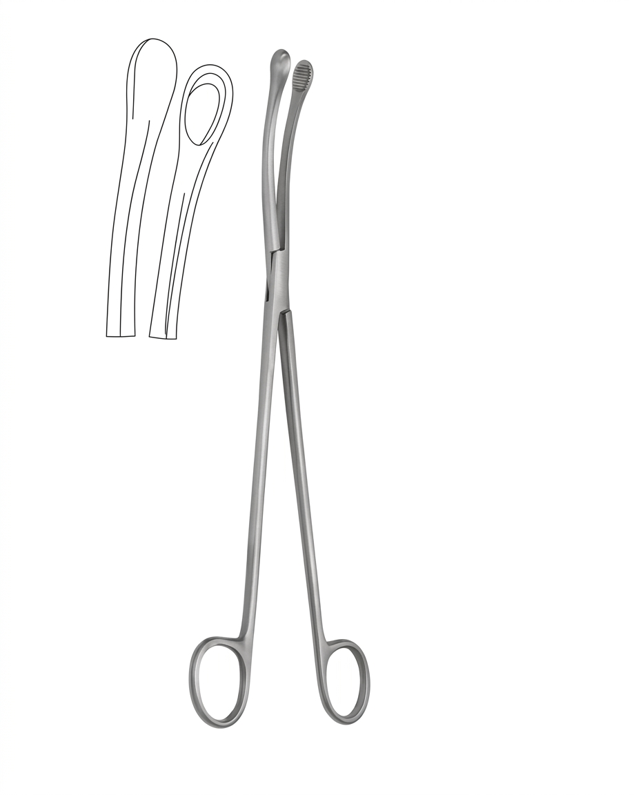 TISCO Lifecare Ovum Forceps Curved Cup 25cm (10 Inch) No. 5 Stainless Steel Surgical Instrument for Gynecological Use
