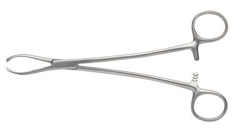 Littlewood Tissue Forceps – Surgical Tissue Holding Forceps (7"–8") | Stainless Steel