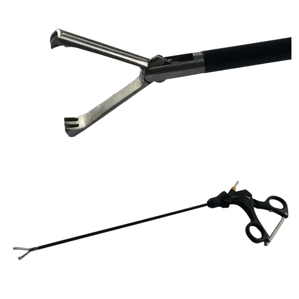 TISCO Lifecare Tooth Grasper S/A 1×2 Stainless Steel Surgical Instrument